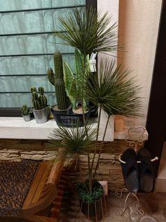 (Category: ) located in . Submitted by haypreloved (Listing ID 1414675061, Image 1). Description: .