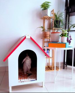 (Category: ) located in . Submitted by _sonia_ (Listing ID 1414634979, Image 1). Description: .