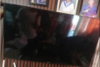 (Category: ) located in . Submitted by roxsell.00 (Listing ID 1414678851, Image 1). Description: .