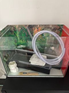 (Category: ) located in . Submitted by 12727 (Listing ID 1414881519, Image 1). Description: .