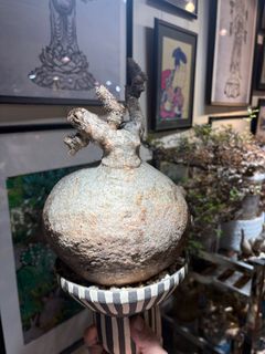 （分類：）位於 。 由 m_musea 提交（商品編號 1414941754，圖片 1）。簡介： 。