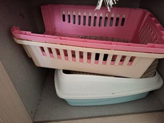 (Category: ) located in . Submitted by kudo856 (Listing ID 1414908203, Image 1). Description: .