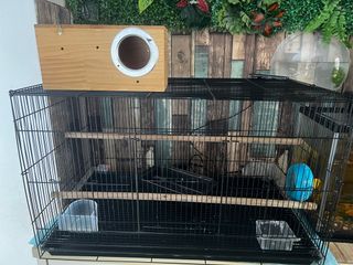 (Category: ) located in . Submitted by vivshari (Listing ID 1414871415, Image 1). Description: .