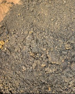 (Category: ) located in . Submitted by gardenfunfarm (Listing ID 1414882563, Image 1). Description: .