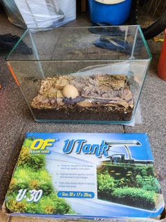(Category: ) located in . Submitted by j4paws (Listing ID 1414862939, Image 1). Description: .