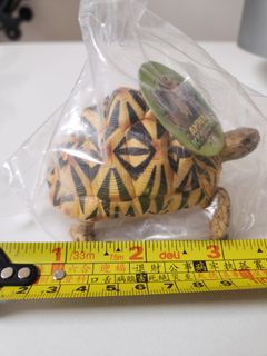 （分類：）位於 。 由 mrforgmrfog 提交（商品編號 1414962956，圖片 1）。簡介： 。