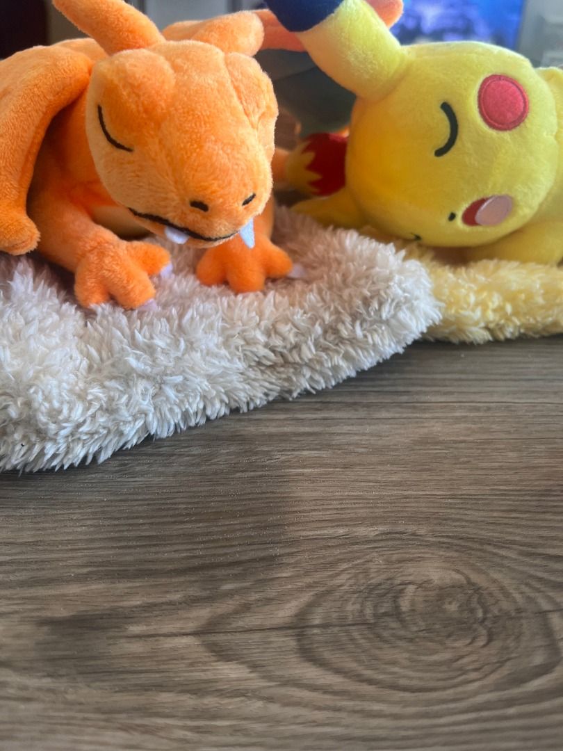 Sleeping Pikachu / Snorlax / Charizard - 2024 Limited Edition Shell ...