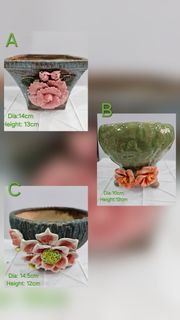 (Category: ) located in . Submitted by all4cactus (Listing ID 1415124795, Image 1). Description: .