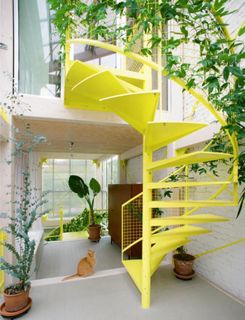 (Category: ) located in . Submitted by islandconstructionand (Listing ID 1415196602, Image 1). Description: .