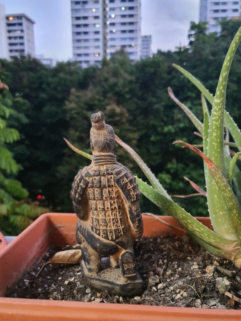 Terracotta Archer (Category: Vintage Collectibles) located in Singapore. Submitted by Button (Listing ID 1415077458, Image 2). Description: Loyal Soldier trained in archery and martial arts. Sniper trained and has ability to detect enemy by sharp hearing. He has been guarding my Aloe Vera Plants while fully camo. He is currently looking for a new Warlord to serve. Similar ones found on ebay going for 50USD. I'm letting go my fine guard at 20SGD..