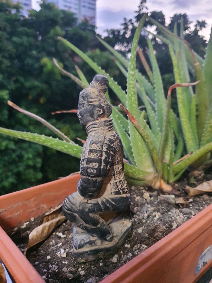 Terracotta Archer (Category: Vintage Collectibles) located in Singapore. Submitted by Button (Listing ID 1415077458, Image 4). Description: Loyal Soldier trained in archery and martial arts. Sniper trained and has ability to detect enemy by sharp hearing. He has been guarding my Aloe Vera Plants while fully camo. He is currently looking for a new Warlord to serve. Similar ones found on ebay going for 50USD. I'm letting go my fine guard at 20SGD..