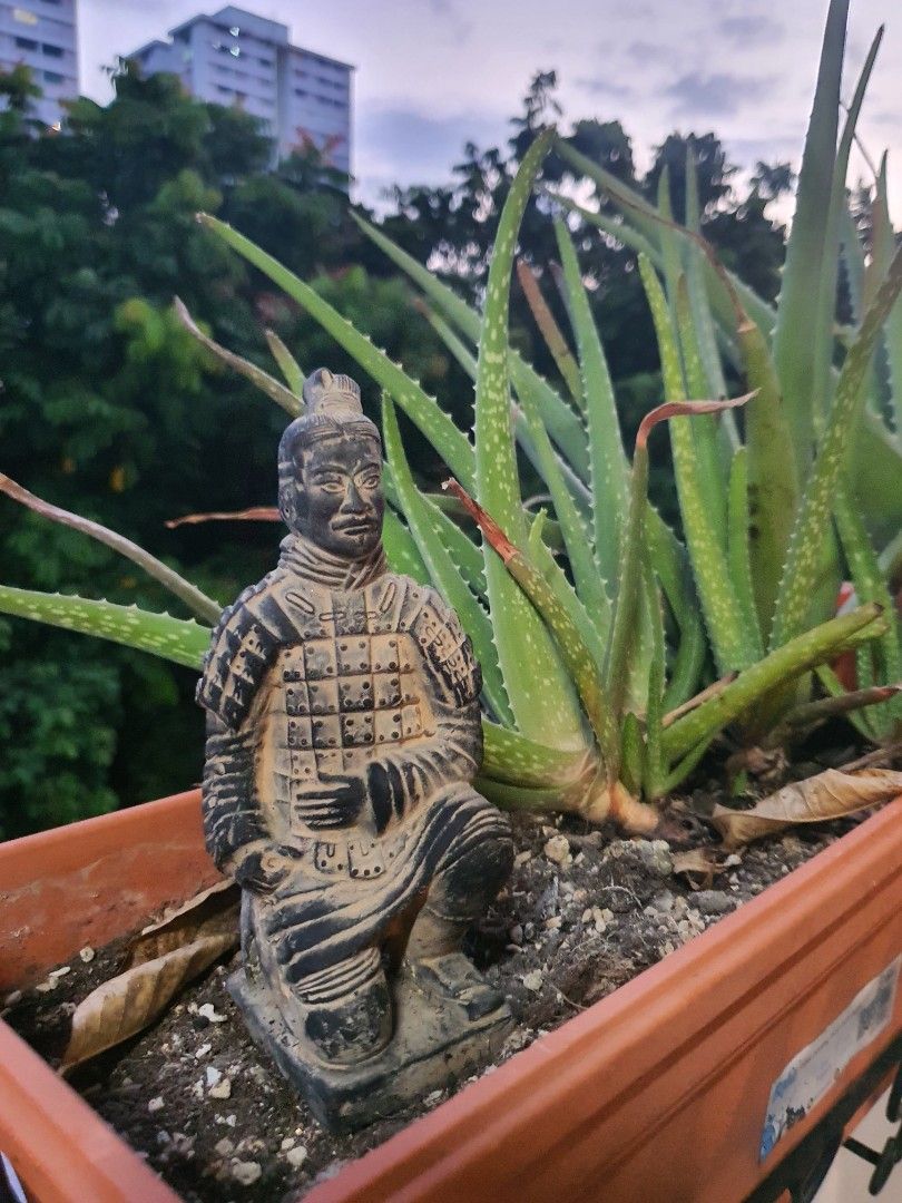 Terracotta Archer (Category: Vintage Collectibles) located in Singapore. Submitted by Button (Listing ID 1415077458, Image 3). Description: Loyal Soldier trained in archery and martial arts. Sniper trained and has ability to detect enemy by sharp hearing. He has been guarding my Aloe Vera Plants while fully camo. He is currently looking for a new Warlord to serve. Similar ones found on ebay going for 50USD. I'm letting go my fine guard at 20SGD..