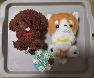 （分類：）位於 。 由 kingdom_protista 提交（商品編號 1415315582，圖片 1）。簡介： 。