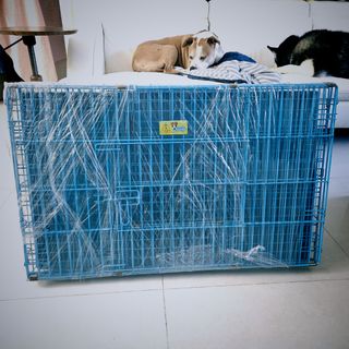 （分類：）位於 。 由 isar852 提交（商品編號 1415237534，圖片 1）。簡介： 。
