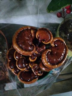 (Category: ) located in . Submitted by happychiu (Listing ID 1415383795, Image 1). Description: .