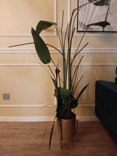 (Category: ) located in . Submitted by usednewcheap (Listing ID 1415292689, Image 1). Description: .