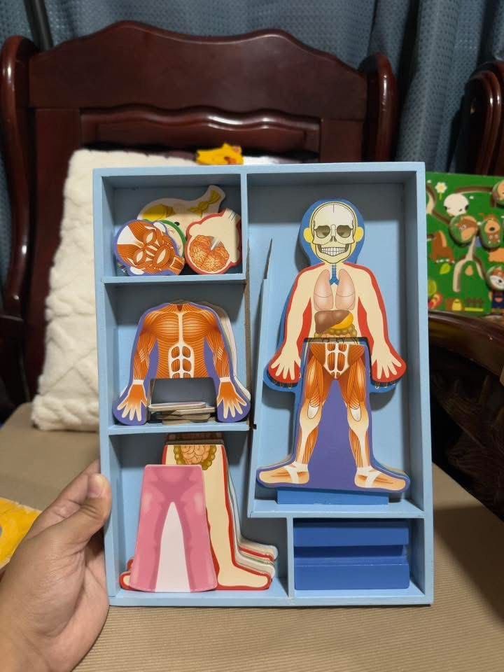 Melissa and Doug Magnetic Human Body Set (Category: Educational & Learning Toys) located in Pilar. Submitted by theplayfulcloset (Listing ID 1415323031, Image 1). Description: Nasira lang yung box sa shipping pero like new and complete ang magnets .