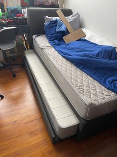 (Category: ) located in . Submitted by serene.t.johnson (Listing ID 1415427626, Image 1). Description: .
