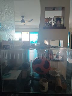 (Category: ) located in . Submitted by sg_recycle (Listing ID 1415480443, Image 1). Description: .