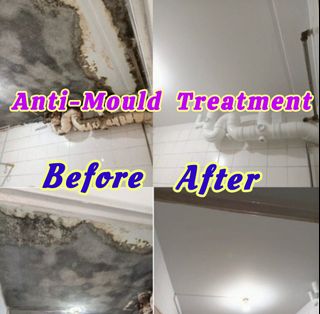Anti Mould Treatment  Collection item 1