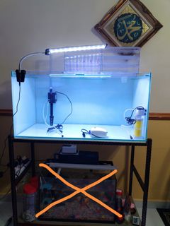 (Category: ) located in . Submitted by jmrozey44 (Listing ID 1415492428, Image 1). Description: .