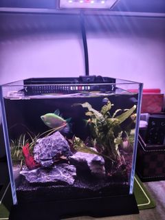 (Category: ) located in . Submitted by stan5 (Listing ID 1415575925, Image 1). Description: .