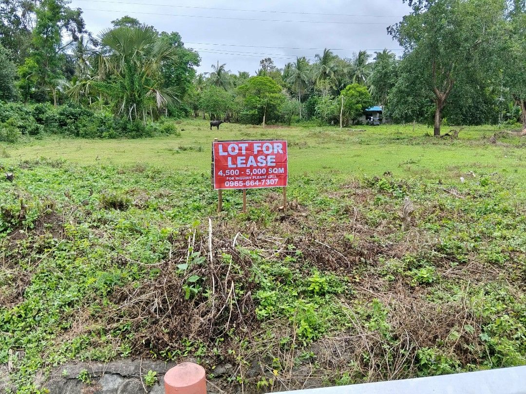 Lot for Lease (Category: Lot) located in Manila. Submitted by ariesman0326 (Listing ID 1415455585, Image 1). Description: Lot for Lease. Lot Size: 4500 - 5000 sqm Location: Brgy Matandang Sabang, Silangan, Catanauan Quezon Contact: 0965-664-7307 Please contact us for the price..