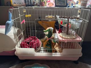 (Category: ) located in . Submitted by suja56 (Listing ID 1415493905, Image 1). Description: .