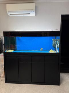 (Category: ) located in . Submitted by kerrineeee (Listing ID 1415749805, Image 1). Description: .