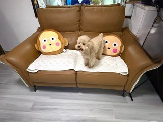 （分類：）位於 。 由 mochidoshi 提交（商品編號 1415886305，圖片 1）。簡介： 。