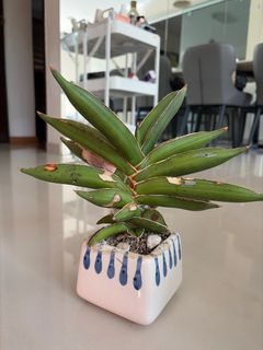 (Category: ) located in . Submitted by greatdeals_sg (Listing ID 1415850267, Image 1). Description: .