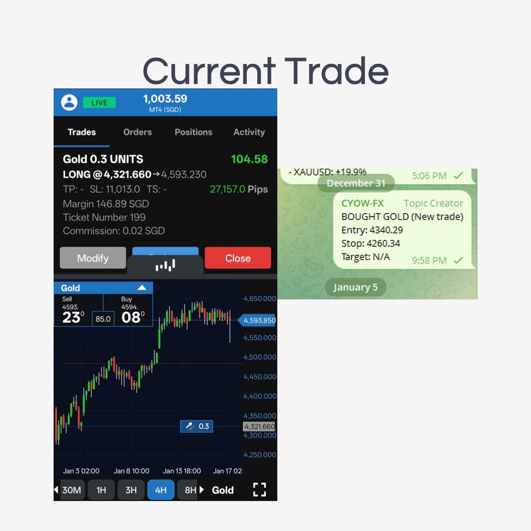 Forex | Commodity | Commodities | Gold | Silver | Oil | Trade Ideas |  Trading Ideas | Trade Signals | Trading Signals