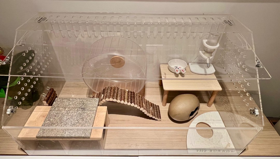 Best Starter Kit For Hamsters And Gerbils photo