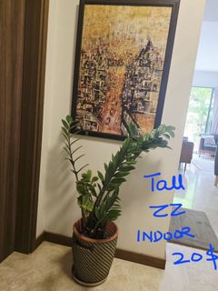 (Category: ) located in . Submitted by maliha79 (Listing ID 1415287883, Image 1). Description: .