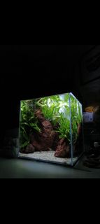 (Category: ) located in . Submitted by _illustroja_ (Listing ID 1416196009, Image 1). Description: .