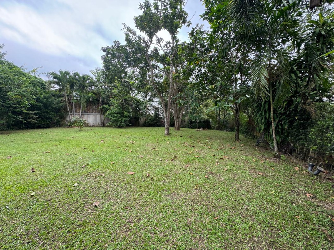 (Category: ) located in . Submitted by vsginez (Listing ID 1416117691, Image 1). Description: .