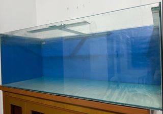(Category: ) located in . Submitted by theessential26 (Listing ID 1416208410, Image 1). Description: .