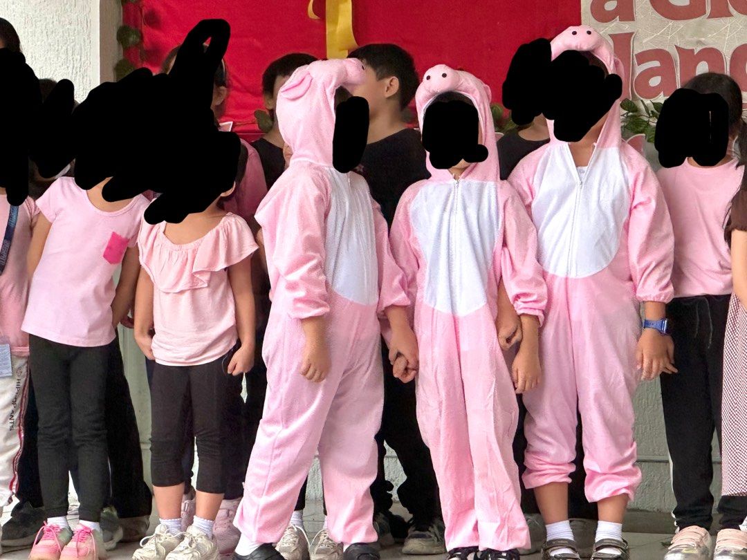 1x Pig Costume onesie (Category: Babies & Kids Fashion) located in Quezon City. Submitted by youngwind.136594 (Listing ID 1416112770, Image 2). Description: Onesie Pig Costume. Used once only, bought it on FB Marketplace. Can fit up to 6-8 years old. One costume only..
