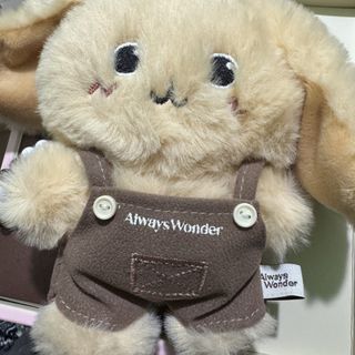 Goldie wonder 出售| Carousell Hong Kong