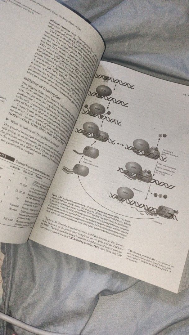 Biochemistry 9th Edition Philippine Edition- Campbell (Category: Textbooks) located in Davao. Submitted by itsannebernards (Listing ID 1416232656, Image 3). Description: - Biochemistry textbook, 9th edition (Philippine Edition); Campbell - Published by Cengage - Covers various biochemistry topics - Features detailed diagrams and explanations - Text is clear and pages are intact -With minimal pencil marks.