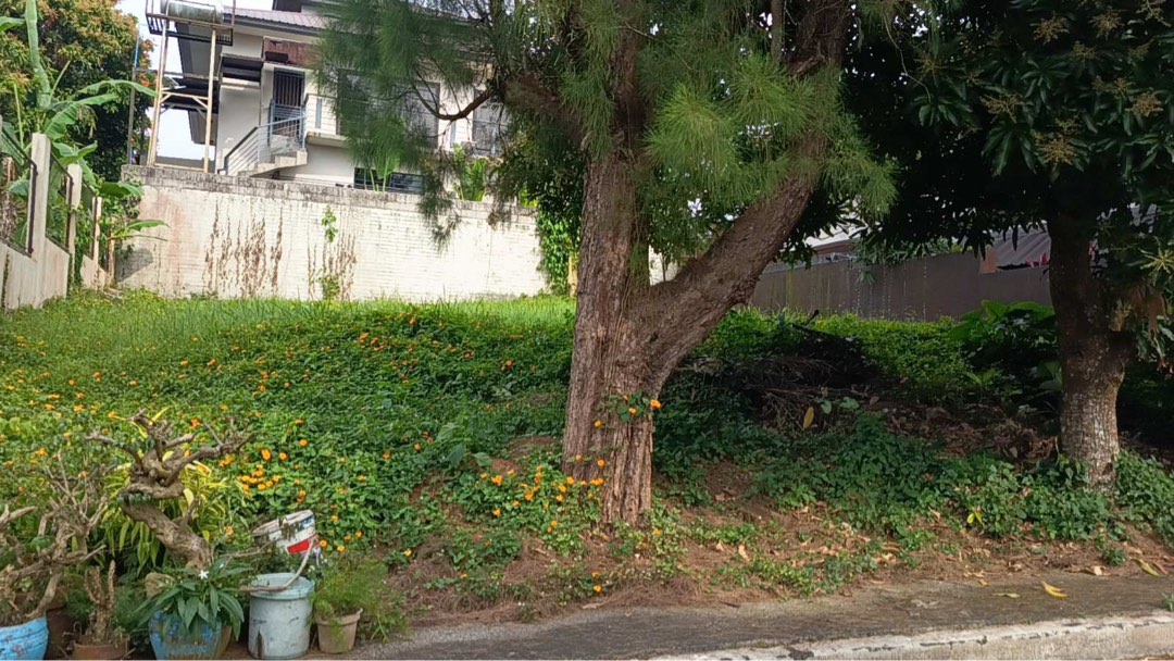 (Category: ) located in . Submitted by cristina.delima (Listing ID 1416390725, Image 1). Description: .