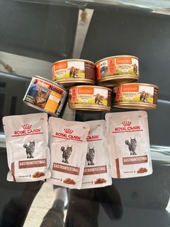 （分類：）位於 。 由 jasonkin123 提交（商品編號 1416342691，圖片 1）。簡介： 。