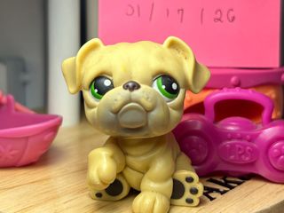 (Category: ) located in . Submitted by bubu_yog (Listing ID 1416334634, Image 1). Description: .