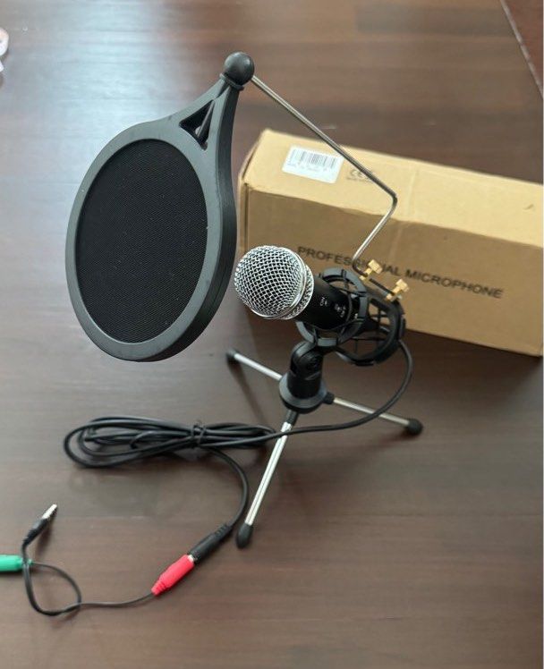 Professional Microphone with Pop Filter65119939895939110