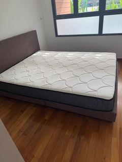 (Category: ) located in . Submitted by prearies (Listing ID 1416258137, Image 1). Description: .