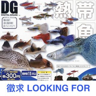 （分類：）位於 。 由 dangerous_lover 提交（商品編號 1416436296，圖片 1）。簡介： 。