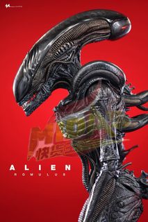 （分類：）位於 。 由 midas_studio 提交（商品編號 1416566258，圖片 1）。簡介： 。