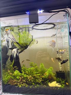 (Category: ) located in . Submitted by ddaktiv (Listing ID 1416490518, Image 1). Description: .