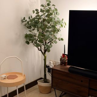 (Category: ) located in . Submitted by kristianeric (Listing ID 1416600925, Image 1). Description: .