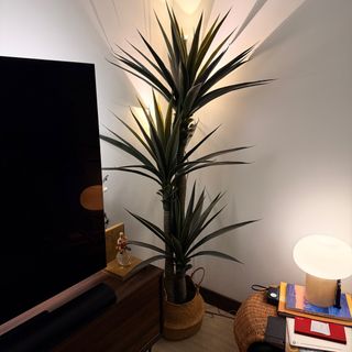 (Category: ) located in . Submitted by kristianeric (Listing ID 1416601160, Image 1). Description: .